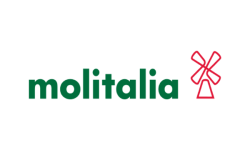 Rectangulo-Molitalia